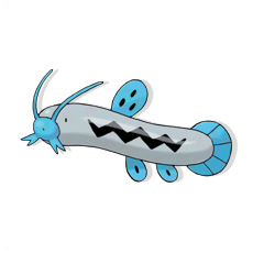 Artwork Barboach Ken Sugimori