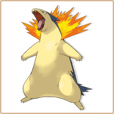 Typhlosion Artwork Image