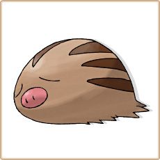 Swinub Artwork Image