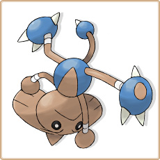 Hitmontop Artwork Image