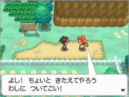 Personajes Pokmon B2W2
