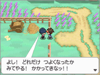 Personajes Pokmon B2W2