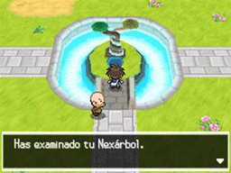 Pokwood Pokmon B2W2