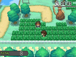 Pokwood Pokmon B2W2