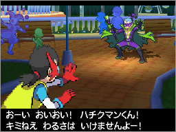 Pokwood Pokmon B2W2