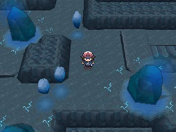 Pokmon Negro