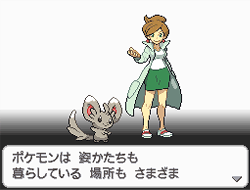Pokmon Blanco