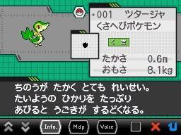 Pokmon Negro
