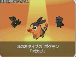 Starter Pokmon