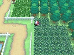 Pokmon Negro