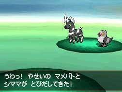 Pokmon Negro