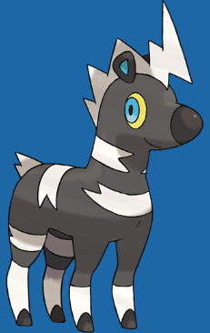 Shimama