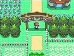 Pokmon Platino