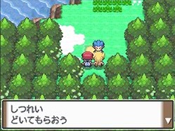 Pokmon Platino