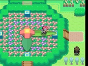 Pokmon Platino