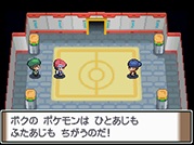 Pokmon Platino
