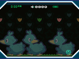 Fondo