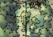 Ruta 30