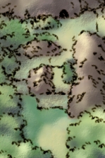 Ruta 46