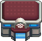 Centro Pokmon