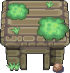Cuevas