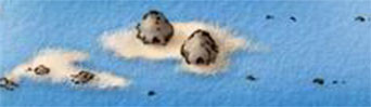 Islas Espuma