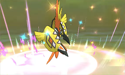 Furia Natural