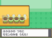 Oro Plata
