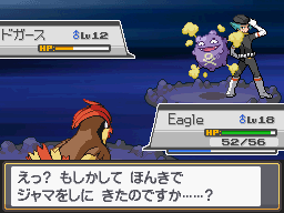 Pozo Slowpoke
