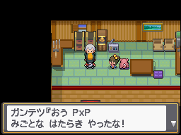Pozo Slowpoke