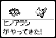 Pokwalker