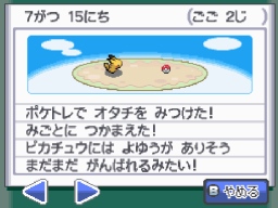 Pokwalker