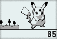 Pokwalker