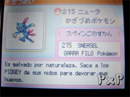 sneasel