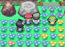 Shaymin