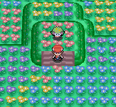 Shaymin