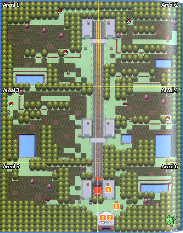 Scan