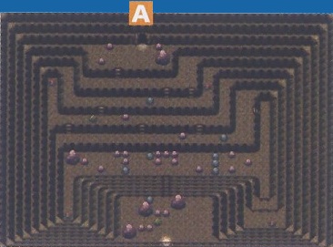 Scan