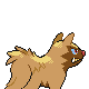 Sprite Poochyena