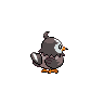 Sprite Starly Blanco Negro