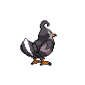 Sprite Staravia Blanco Negro