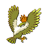 Sprite Fearow Blanco Negro