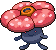 Pkmn