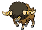 Bouffalant