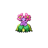 Sprite Bellossom Blanco Negro