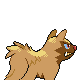 Sprite Poochyena