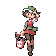 Criapokmon