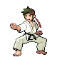 Karateka