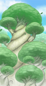Bosque Blanco