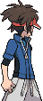 Entrenador